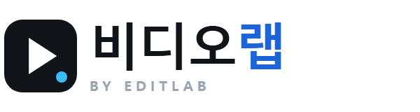 비디오랩